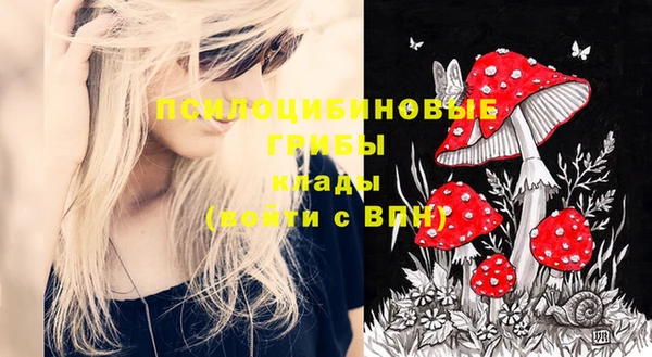 эйфоретик Дмитров