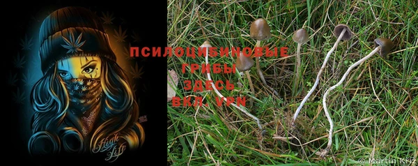 круглые Дмитриев