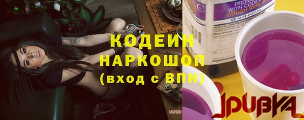 сатива Дмитровск
