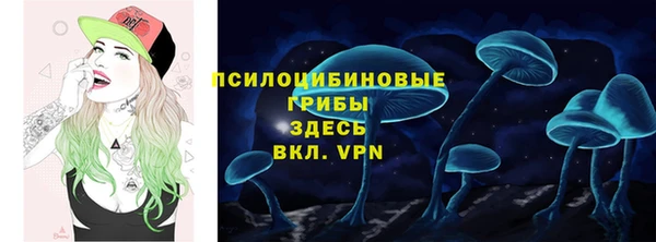круглые Дмитриев