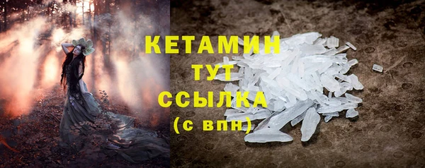 сатива Дмитровск