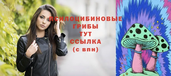 сатива Дмитровск