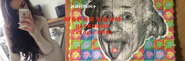 сатива Дмитровск