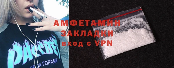 сатива Дмитровск