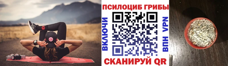 ОМГ ОМГ сайт  Щёкино  Галлюциногенные грибы GOLDEN TEACHER 